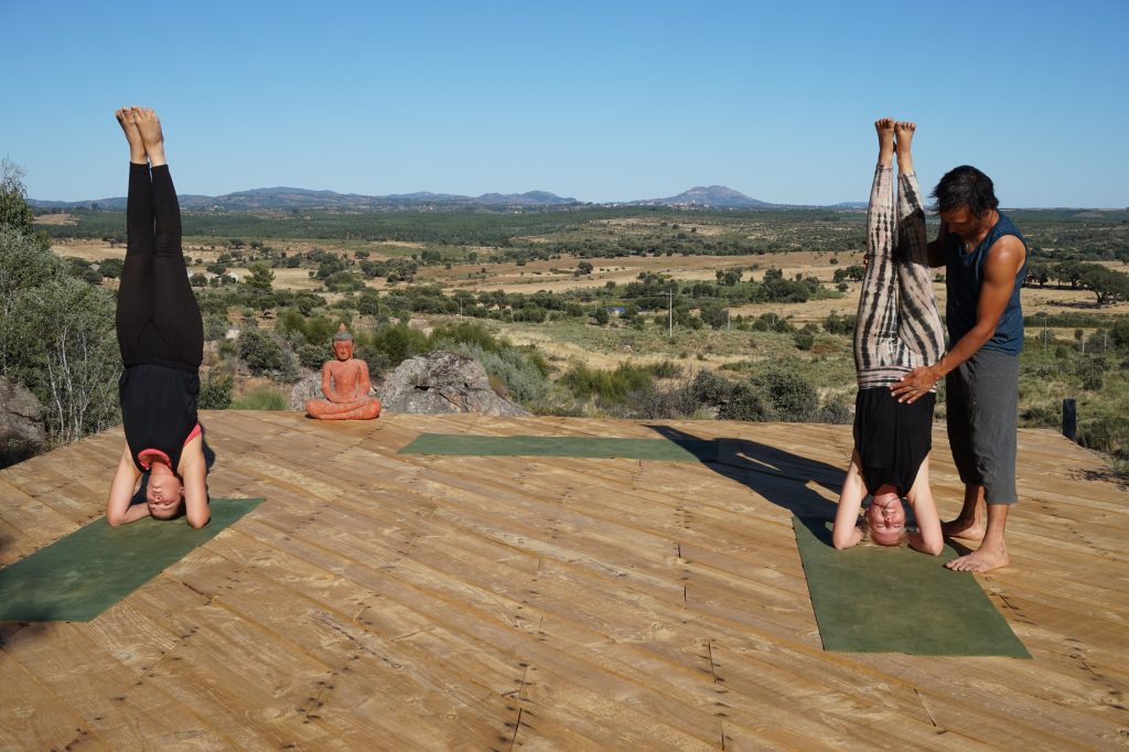 Yoga deck for up to 30 people  Yoga studio home, Yoga studio, Yoga garden
